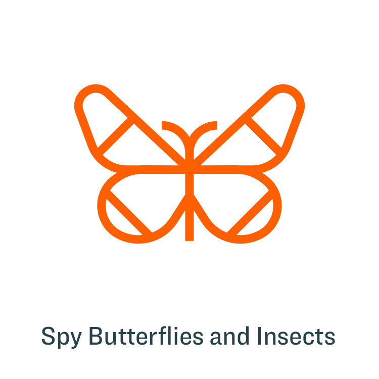 Kestrel-Icon-Butterflies